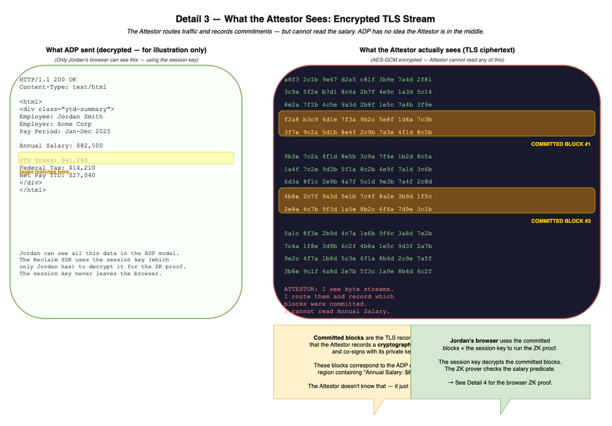 Detail 3 — The attestor&rsquo;s view. The attestor co-signs a commitment to the encrypted TLS response without being able to read the salary figure. The honeypot mechanism makes fabrication economically irrational.